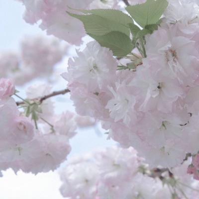兽设火山场景设计兽圈社群